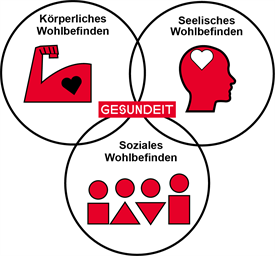 Bei diesem Bild wird eine Grafik dargestellt, wo die drei Haupthemen von Gesundheit aufgeführt wird.